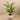 Trees-Artificial Areca Palm <br> 150cm-Bloomr