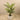 Trees-Artificial Areca Palm <br> 150cm-Bloomr