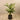 Trees-Artificial Areca Palm <br> 150cm-Bloomr