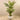 Trees-Artificial Areca Palm 180cm-Bloomr