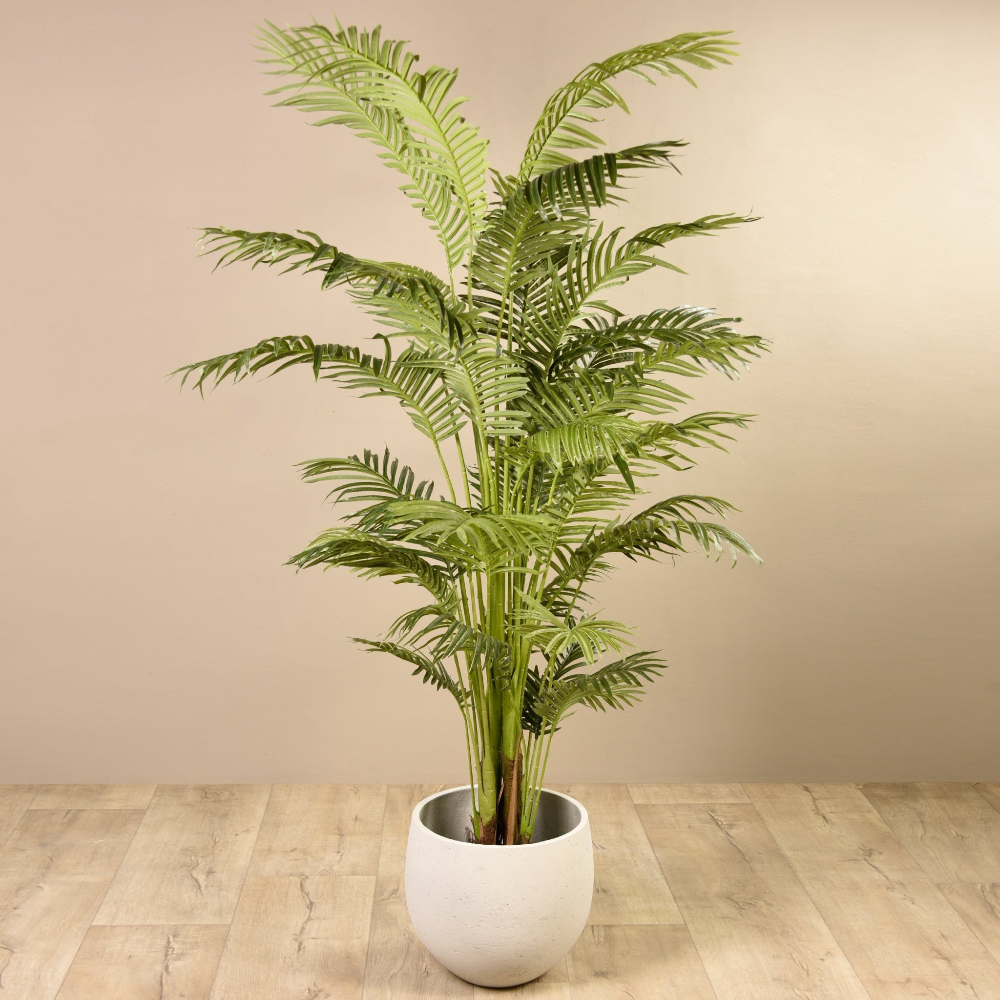 areca palm dubai Best Areca Palm Trees | Artificial Pam Tree @ Dhs. 960
