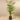 Trees-Artificial Areca Palm 210cm-Bloomr
