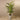 Trees-Artificial Areca Palm 180cm-Bloomr