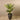 Trees-Artificial Areca Palm <br> 150cm-Bloomr