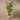 Trees-Artificial Areca Palm 210cm-Bloomr