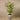 Trees-Artificial Areca Palm 180cm-Bloomr