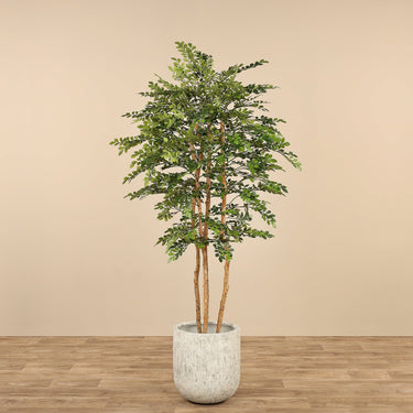 Trees-Artificial Acacia Tree 180cm-Bloomr