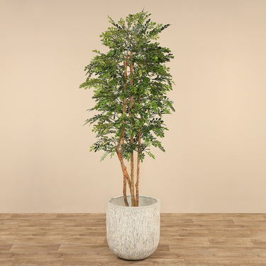 Trees-Artificial Acacia Tree 210cm-Bloomr