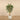 Trees-Artificial Acacia Tree <br> 150cm-Bloomr