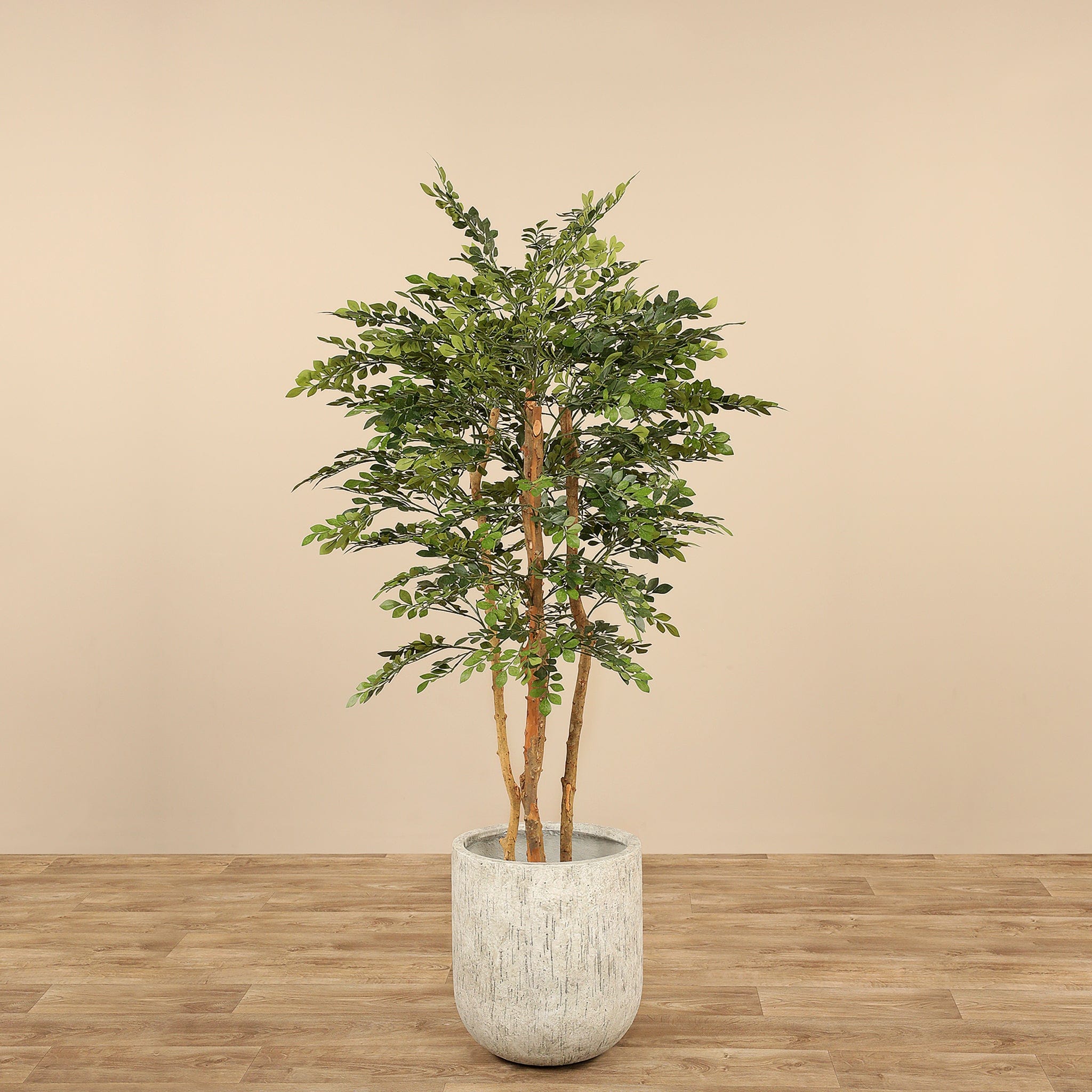 indoor acacia plant Artificial Acacia Tree 150cm – Bloomr
