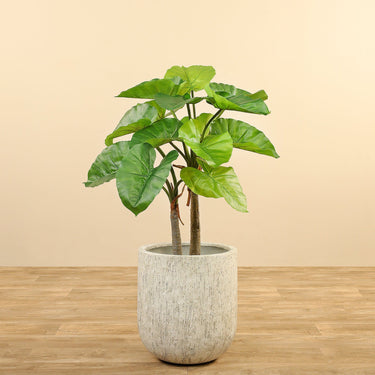 Trees-Artificial Alocasia Tree<br> 90cm-Bloomr