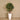 Trees-Artificial Aralia Tree 120cm-Bloomr