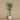Trees-Artificial Areca Palm 225cm-Bloomr