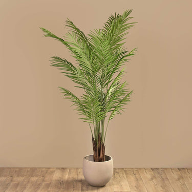 Trees-Artificial Areca Palm Tree 210cm-Bloomr