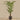 Trees-Artificial Areca Palm Tree 240cm-Bloomr