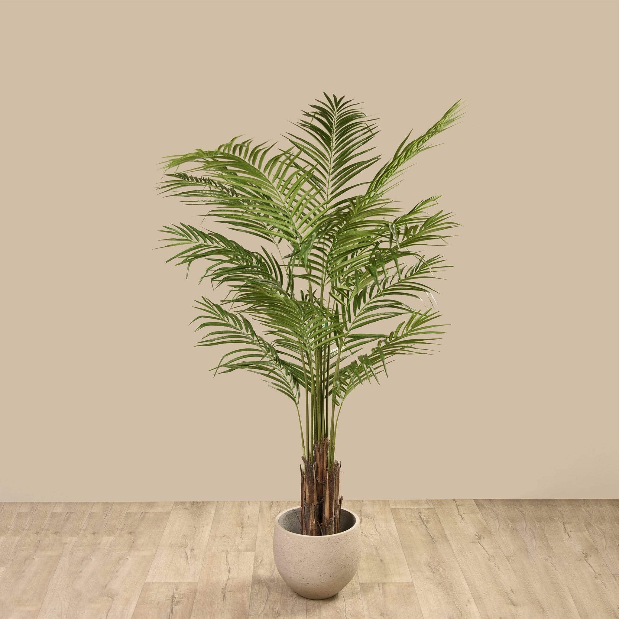 areca palm dubai Best Artificial Palm Trees | Shop Areca Palm Tree @ Dhs. 940