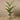 Trees-Artificial Areca Palm Tree <br> 160cm-Bloomr