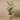 Trees-Artificial Areca Palm Tree <br> 160cm-Bloomr