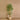 Trees-Artificial Bamboo Tree <br> 180cm-Bloomr