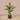 Trees-Artificial Banana Tree 125cm-Bloomr