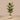 Trees-Artificial Banana Tree 180cm-Bloomr