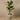 Trees-Artificial Banana Tree 180cm-Bloomr
