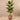 Trees-Artificial Banana Tree 180cm-Bloomr