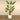 Trees-Artificial Banana Tree 240cm-Bloomr