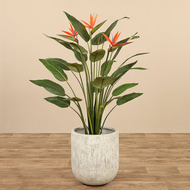Trees-Artificial Bird of Paradise 150cm-Bloomr