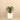 Trees-Artificial Calathea Tree <br> 60cm-Bloomr