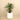 Trees-Artificial Calathea Tree <br> 90cm-Bloomr