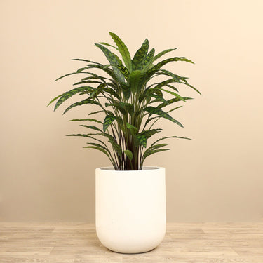 Trees-Artificial Calathea Tree <br> 90cm-Bloomr