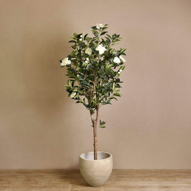 Trees-Artificial Camellia Tree 180cm-Bloomr