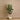 Trees-Artificial Camellia Tree <br> 150cm-Bloomr