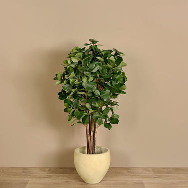 Trees-Artificial Clusia Tree <br> 120cm-Bloomr