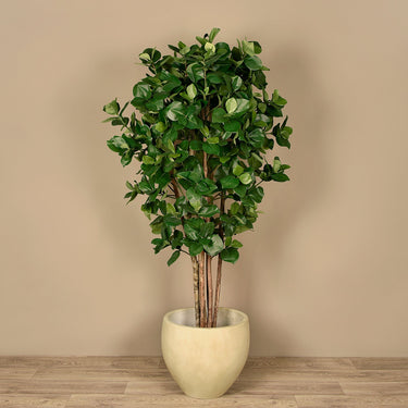 Trees-Artificial Clusia Tree <br> 150cm-Bloomr