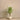 Trees-Artificial Draecena Tree 120cm-Bloomr