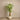 Trees-Artificial Draecena Tree <br> 155cm-Bloomr