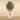 Trees-Artificial Draecena Reflexa 210cm-Bloomr