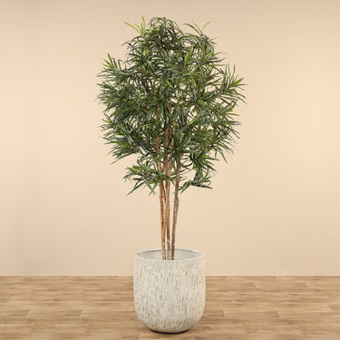 Trees-Artificial Draecena Reflexa 210cm-Bloomr