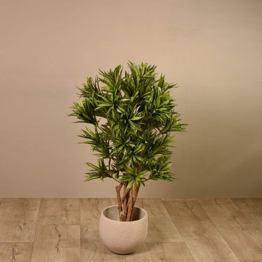 Trees-Artificial Draecena Reflexa 120cm-Bloomr