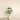Trees-Artificial Draecena Tree 150cm-Bloomr
