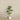 Trees-Artificial Draecena Tree 180cm-Bloomr