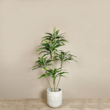 Trees-Artificial Draecena Tree 180cm-Bloomr
