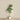 Trees-Artificial Draecena Tree 210cm-Bloomr