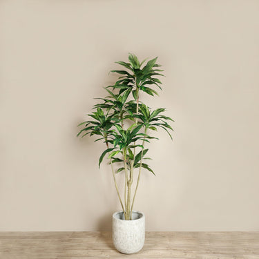 Trees-Artificial Draecena Tree 210cm-Bloomr