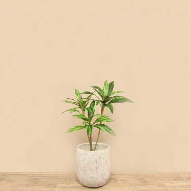 Trees-Artificial Draecena Tree 90cm-Bloomr