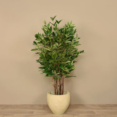 Trees-Artificial Dragonnier Surculosa <br> 150cm-Bloomr