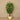 Trees-Artificial Dragonnier Surculosa <br> 180cm-Bloomr