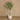 Trees-Artificial Eucalyptus 240cm-Bloomr